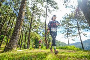 BIB: 9119
                            <button type="button" onclick="openModal(19291231)" class="btn btn-primary btn-sm float-right btn-popup" data-toggle="modal" data-target=".modal-high-quality">
                        <i class="fas fa-shopping-cart"></i> Add to Cart
                    </button>
                                            <button type="button" onclick="isThisMe(19291231, true)" class="btn btn-success btn-sm float-right btn-popup btn-isme hidden" data-toggle="tooltip" data-placement="bottom" title="นี่คือรูปของคุณใช่ไหม คลิกที่นี่เพื่อเอาเข้าอัลบั้ม">
                        <i class="fas fa-plus"></i> Add to album
                    </button>
                    <button type="button" onclick="isThisMe(19291231, false)" class="btn btn-warning btn-sm float-right btn-popup btn-isnotme hidden">
                        <i class="fas fa-ban"></i> Remove from album
                    </button>