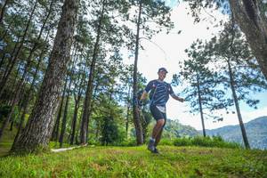 BIB: 
                            <button type="button" onclick="openModal(19284539)" class="btn btn-primary btn-sm float-right btn-popup" data-toggle="modal" data-target=".modal-high-quality">
                        <i class="fas fa-shopping-cart"></i> Add to Cart
                    </button>
                                            <button type="button" onclick="isThisMe(19284539, true)" class="btn btn-success btn-sm float-right btn-popup btn-isme hidden" data-toggle="tooltip" data-placement="bottom" title="นี่คือรูปของคุณใช่ไหม คลิกที่นี่เพื่อเอาเข้าอัลบั้ม">
                        <i class="fas fa-plus"></i> Add to album
                    </button>
                    <button type="button" onclick="isThisMe(19284539, false)" class="btn btn-warning btn-sm float-right btn-popup btn-isnotme hidden">
                        <i class="fas fa-ban"></i> Remove from album
                    </button>