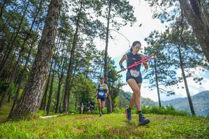 BIB: 147
                            <button type="button" onclick="openModal(19286966)" class="btn btn-primary btn-sm float-right btn-popup" data-toggle="modal" data-target=".modal-high-quality">
                        <i class="fas fa-shopping-cart"></i> Add to Cart
                    </button>
                                            <button type="button" onclick="isThisMe(19286966, true)" class="btn btn-success btn-sm float-right btn-popup btn-isme hidden" data-toggle="tooltip" data-placement="bottom" title="นี่คือรูปของคุณใช่ไหม คลิกที่นี่เพื่อเอาเข้าอัลบั้ม">
                        <i class="fas fa-plus"></i> Add to album
                    </button>
                    <button type="button" onclick="isThisMe(19286966, false)" class="btn btn-warning btn-sm float-right btn-popup btn-isnotme hidden">
                        <i class="fas fa-ban"></i> Remove from album
                    </button>