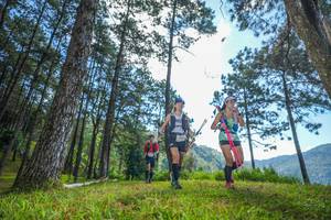 BIB: 
                            <button type="button" onclick="openModal(19281318)" class="btn btn-primary btn-sm float-right btn-popup" data-toggle="modal" data-target=".modal-high-quality">
                        <i class="fas fa-shopping-cart"></i> Add to Cart
                    </button>
                                            <button type="button" onclick="isThisMe(19281318, true)" class="btn btn-success btn-sm float-right btn-popup btn-isme hidden" data-toggle="tooltip" data-placement="bottom" title="นี่คือรูปของคุณใช่ไหม คลิกที่นี่เพื่อเอาเข้าอัลบั้ม">
                        <i class="fas fa-plus"></i> Add to album
                    </button>
                    <button type="button" onclick="isThisMe(19281318, false)" class="btn btn-warning btn-sm float-right btn-popup btn-isnotme hidden">
                        <i class="fas fa-ban"></i> Remove from album
                    </button>