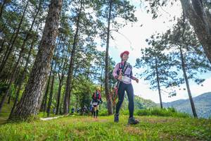 BIB: 
                            <button type="button" onclick="openModal(19290135)" class="btn btn-primary btn-sm float-right btn-popup" data-toggle="modal" data-target=".modal-high-quality">
                        <i class="fas fa-shopping-cart"></i> Add to Cart
                    </button>
                                            <button type="button" onclick="isThisMe(19290135, true)" class="btn btn-success btn-sm float-right btn-popup btn-isme hidden" data-toggle="tooltip" data-placement="bottom" title="นี่คือรูปของคุณใช่ไหม คลิกที่นี่เพื่อเอาเข้าอัลบั้ม">
                        <i class="fas fa-plus"></i> Add to album
                    </button>
                    <button type="button" onclick="isThisMe(19290135, false)" class="btn btn-warning btn-sm float-right btn-popup btn-isnotme hidden">
                        <i class="fas fa-ban"></i> Remove from album
                    </button>