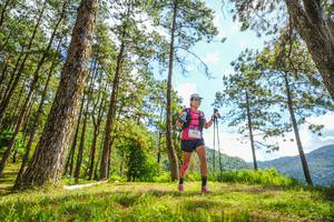 BIB: 
                            <button type="button" onclick="openModal(19291384)" class="btn btn-primary btn-sm float-right btn-popup" data-toggle="modal" data-target=".modal-high-quality">
                        <i class="fas fa-shopping-cart"></i> Add to Cart
                    </button>
                                            <button type="button" onclick="isThisMe(19291384, true)" class="btn btn-success btn-sm float-right btn-popup btn-isme hidden" data-toggle="tooltip" data-placement="bottom" title="นี่คือรูปของคุณใช่ไหม คลิกที่นี่เพื่อเอาเข้าอัลบั้ม">
                        <i class="fas fa-plus"></i> Add to album
                    </button>
                    <button type="button" onclick="isThisMe(19291384, false)" class="btn btn-warning btn-sm float-right btn-popup btn-isnotme hidden">
                        <i class="fas fa-ban"></i> Remove from album
                    </button>