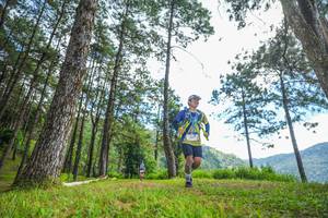 BIB: 
                            <button type="button" onclick="openModal(19288665)" class="btn btn-primary btn-sm float-right btn-popup" data-toggle="modal" data-target=".modal-high-quality">
                        <i class="fas fa-shopping-cart"></i> Add to Cart
                    </button>
                                            <button type="button" onclick="isThisMe(19288665, true)" class="btn btn-success btn-sm float-right btn-popup btn-isme hidden" data-toggle="tooltip" data-placement="bottom" title="นี่คือรูปของคุณใช่ไหม คลิกที่นี่เพื่อเอาเข้าอัลบั้ม">
                        <i class="fas fa-plus"></i> Add to album
                    </button>
                    <button type="button" onclick="isThisMe(19288665, false)" class="btn btn-warning btn-sm float-right btn-popup btn-isnotme hidden">
                        <i class="fas fa-ban"></i> Remove from album
                    </button>