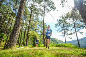 BIB: 
                            <button type="button" onclick="openModal(19291131)" class="btn btn-primary btn-sm float-right btn-popup" data-toggle="modal" data-target=".modal-high-quality">
                        <i class="fas fa-shopping-cart"></i> Add to Cart
                    </button>
                                            <button type="button" onclick="isThisMe(19291131, true)" class="btn btn-success btn-sm float-right btn-popup btn-isme hidden" data-toggle="tooltip" data-placement="bottom" title="นี่คือรูปของคุณใช่ไหม คลิกที่นี่เพื่อเอาเข้าอัลบั้ม">
                        <i class="fas fa-plus"></i> Add to album
                    </button>
                    <button type="button" onclick="isThisMe(19291131, false)" class="btn btn-warning btn-sm float-right btn-popup btn-isnotme hidden">
                        <i class="fas fa-ban"></i> Remove from album
                    </button>