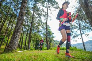 BIB: 5004
                            <button type="button" onclick="openModal(19288709)" class="btn btn-primary btn-sm float-right btn-popup" data-toggle="modal" data-target=".modal-high-quality">
                        <i class="fas fa-shopping-cart"></i> Add to Cart
                    </button>
                                            <button type="button" onclick="isThisMe(19288709, true)" class="btn btn-success btn-sm float-right btn-popup btn-isme hidden" data-toggle="tooltip" data-placement="bottom" title="นี่คือรูปของคุณใช่ไหม คลิกที่นี่เพื่อเอาเข้าอัลบั้ม">
                        <i class="fas fa-plus"></i> Add to album
                    </button>
                    <button type="button" onclick="isThisMe(19288709, false)" class="btn btn-warning btn-sm float-right btn-popup btn-isnotme hidden">
                        <i class="fas fa-ban"></i> Remove from album
                    </button>