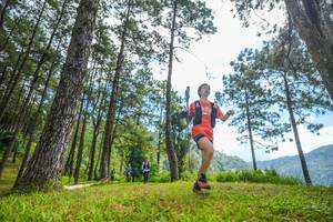 BIB: 
                            <button type="button" onclick="openModal(19285670)" class="btn btn-primary btn-sm float-right btn-popup" data-toggle="modal" data-target=".modal-high-quality">
                        <i class="fas fa-shopping-cart"></i> Add to Cart
                    </button>
                                            <button type="button" onclick="isThisMe(19285670, true)" class="btn btn-success btn-sm float-right btn-popup btn-isme hidden" data-toggle="tooltip" data-placement="bottom" title="นี่คือรูปของคุณใช่ไหม คลิกที่นี่เพื่อเอาเข้าอัลบั้ม">
                        <i class="fas fa-plus"></i> Add to album
                    </button>
                    <button type="button" onclick="isThisMe(19285670, false)" class="btn btn-warning btn-sm float-right btn-popup btn-isnotme hidden">
                        <i class="fas fa-ban"></i> Remove from album
                    </button>