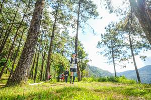 BIB: 
                            <button type="button" onclick="openModal(19289055)" class="btn btn-primary btn-sm float-right btn-popup" data-toggle="modal" data-target=".modal-high-quality">
                        <i class="fas fa-shopping-cart"></i> Add to Cart
                    </button>
                                            <button type="button" onclick="isThisMe(19289055, true)" class="btn btn-success btn-sm float-right btn-popup btn-isme hidden" data-toggle="tooltip" data-placement="bottom" title="นี่คือรูปของคุณใช่ไหม คลิกที่นี่เพื่อเอาเข้าอัลบั้ม">
                        <i class="fas fa-plus"></i> Add to album
                    </button>
                    <button type="button" onclick="isThisMe(19289055, false)" class="btn btn-warning btn-sm float-right btn-popup btn-isnotme hidden">
                        <i class="fas fa-ban"></i> Remove from album
                    </button>