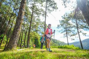 BIB: 
                            <button type="button" onclick="openModal(19291177)" class="btn btn-primary btn-sm float-right btn-popup" data-toggle="modal" data-target=".modal-high-quality">
                        <i class="fas fa-shopping-cart"></i> Add to Cart
                    </button>
                                            <button type="button" onclick="isThisMe(19291177, true)" class="btn btn-success btn-sm float-right btn-popup btn-isme hidden" data-toggle="tooltip" data-placement="bottom" title="นี่คือรูปของคุณใช่ไหม คลิกที่นี่เพื่อเอาเข้าอัลบั้ม">
                        <i class="fas fa-plus"></i> Add to album
                    </button>
                    <button type="button" onclick="isThisMe(19291177, false)" class="btn btn-warning btn-sm float-right btn-popup btn-isnotme hidden">
                        <i class="fas fa-ban"></i> Remove from album
                    </button>