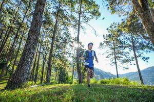 BIB: 
                            <button type="button" onclick="openModal(19279003)" class="btn btn-primary btn-sm float-right btn-popup" data-toggle="modal" data-target=".modal-high-quality">
                        <i class="fas fa-shopping-cart"></i> Add to Cart
                    </button>
                                            <button type="button" onclick="isThisMe(19279003, true)" class="btn btn-success btn-sm float-right btn-popup btn-isme hidden" data-toggle="tooltip" data-placement="bottom" title="นี่คือรูปของคุณใช่ไหม คลิกที่นี่เพื่อเอาเข้าอัลบั้ม">
                        <i class="fas fa-plus"></i> Add to album
                    </button>
                    <button type="button" onclick="isThisMe(19279003, false)" class="btn btn-warning btn-sm float-right btn-popup btn-isnotme hidden">
                        <i class="fas fa-ban"></i> Remove from album
                    </button>