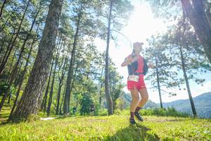 BIB: 
                            <button type="button" onclick="openModal(19284673)" class="btn btn-primary btn-sm float-right btn-popup" data-toggle="modal" data-target=".modal-high-quality">
                        <i class="fas fa-shopping-cart"></i> Add to Cart
                    </button>
                                            <button type="button" onclick="isThisMe(19284673, true)" class="btn btn-success btn-sm float-right btn-popup btn-isme hidden" data-toggle="tooltip" data-placement="bottom" title="นี่คือรูปของคุณใช่ไหม คลิกที่นี่เพื่อเอาเข้าอัลบั้ม">
                        <i class="fas fa-plus"></i> Add to album
                    </button>
                    <button type="button" onclick="isThisMe(19284673, false)" class="btn btn-warning btn-sm float-right btn-popup btn-isnotme hidden">
                        <i class="fas fa-ban"></i> Remove from album
                    </button>