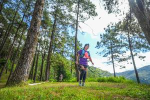 BIB: 
                            <button type="button" onclick="openModal(19291080)" class="btn btn-primary btn-sm float-right btn-popup" data-toggle="modal" data-target=".modal-high-quality">
                        <i class="fas fa-shopping-cart"></i> Add to Cart
                    </button>
                                            <button type="button" onclick="isThisMe(19291080, true)" class="btn btn-success btn-sm float-right btn-popup btn-isme hidden" data-toggle="tooltip" data-placement="bottom" title="นี่คือรูปของคุณใช่ไหม คลิกที่นี่เพื่อเอาเข้าอัลบั้ม">
                        <i class="fas fa-plus"></i> Add to album
                    </button>
                    <button type="button" onclick="isThisMe(19291080, false)" class="btn btn-warning btn-sm float-right btn-popup btn-isnotme hidden">
                        <i class="fas fa-ban"></i> Remove from album
                    </button>