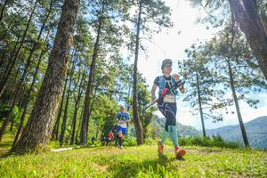 BIB: 
                            <button type="button" onclick="openModal(19287099)" class="btn btn-primary btn-sm float-right btn-popup" data-toggle="modal" data-target=".modal-high-quality">
                        <i class="fas fa-shopping-cart"></i> Add to Cart
                    </button>
                                            <button type="button" onclick="isThisMe(19287099, true)" class="btn btn-success btn-sm float-right btn-popup btn-isme hidden" data-toggle="tooltip" data-placement="bottom" title="นี่คือรูปของคุณใช่ไหม คลิกที่นี่เพื่อเอาเข้าอัลบั้ม">
                        <i class="fas fa-plus"></i> Add to album
                    </button>
                    <button type="button" onclick="isThisMe(19287099, false)" class="btn btn-warning btn-sm float-right btn-popup btn-isnotme hidden">
                        <i class="fas fa-ban"></i> Remove from album
                    </button>