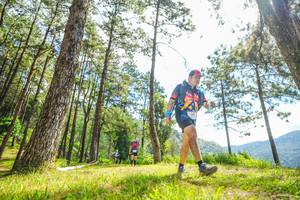 BIB: 
                            <button type="button" onclick="openModal(19288921)" class="btn btn-primary btn-sm float-right btn-popup" data-toggle="modal" data-target=".modal-high-quality">
                        <i class="fas fa-shopping-cart"></i> Add to Cart
                    </button>
                                            <button type="button" onclick="isThisMe(19288921, true)" class="btn btn-success btn-sm float-right btn-popup btn-isme hidden" data-toggle="tooltip" data-placement="bottom" title="นี่คือรูปของคุณใช่ไหม คลิกที่นี่เพื่อเอาเข้าอัลบั้ม">
                        <i class="fas fa-plus"></i> Add to album
                    </button>
                    <button type="button" onclick="isThisMe(19288921, false)" class="btn btn-warning btn-sm float-right btn-popup btn-isnotme hidden">
                        <i class="fas fa-ban"></i> Remove from album
                    </button>