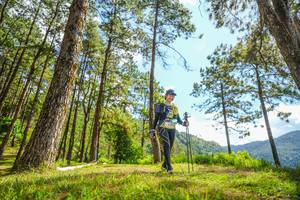 BIB: 
                            <button type="button" onclick="openModal(19291422)" class="btn btn-primary btn-sm float-right btn-popup" data-toggle="modal" data-target=".modal-high-quality">
                        <i class="fas fa-shopping-cart"></i> Add to Cart
                    </button>
                                            <button type="button" onclick="isThisMe(19291422, true)" class="btn btn-success btn-sm float-right btn-popup btn-isme hidden" data-toggle="tooltip" data-placement="bottom" title="นี่คือรูปของคุณใช่ไหม คลิกที่นี่เพื่อเอาเข้าอัลบั้ม">
                        <i class="fas fa-plus"></i> Add to album
                    </button>
                    <button type="button" onclick="isThisMe(19291422, false)" class="btn btn-warning btn-sm float-right btn-popup btn-isnotme hidden">
                        <i class="fas fa-ban"></i> Remove from album
                    </button>