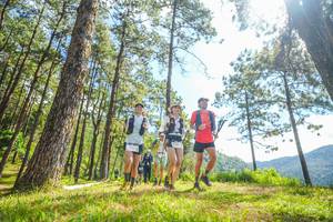 BIB: 
                            <button type="button" onclick="openModal(19290508)" class="btn btn-primary btn-sm float-right btn-popup" data-toggle="modal" data-target=".modal-high-quality">
                        <i class="fas fa-shopping-cart"></i> Add to Cart
                    </button>
                                            <button type="button" onclick="isThisMe(19290508, true)" class="btn btn-success btn-sm float-right btn-popup btn-isme hidden" data-toggle="tooltip" data-placement="bottom" title="นี่คือรูปของคุณใช่ไหม คลิกที่นี่เพื่อเอาเข้าอัลบั้ม">
                        <i class="fas fa-plus"></i> Add to album
                    </button>
                    <button type="button" onclick="isThisMe(19290508, false)" class="btn btn-warning btn-sm float-right btn-popup btn-isnotme hidden">
                        <i class="fas fa-ban"></i> Remove from album
                    </button>