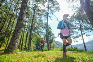 BIB: 
                            <button type="button" onclick="openModal(19286747)" class="btn btn-primary btn-sm float-right btn-popup" data-toggle="modal" data-target=".modal-high-quality">
                        <i class="fas fa-shopping-cart"></i> Add to Cart
                    </button>
                                            <button type="button" onclick="isThisMe(19286747, true)" class="btn btn-success btn-sm float-right btn-popup btn-isme hidden" data-toggle="tooltip" data-placement="bottom" title="นี่คือรูปของคุณใช่ไหม คลิกที่นี่เพื่อเอาเข้าอัลบั้ม">
                        <i class="fas fa-plus"></i> Add to album
                    </button>
                    <button type="button" onclick="isThisMe(19286747, false)" class="btn btn-warning btn-sm float-right btn-popup btn-isnotme hidden">
                        <i class="fas fa-ban"></i> Remove from album
                    </button>