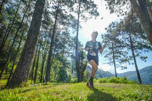 BIB: 
                            <button type="button" onclick="openModal(19280741)" class="btn btn-primary btn-sm float-right btn-popup" data-toggle="modal" data-target=".modal-high-quality">
                        <i class="fas fa-shopping-cart"></i> Add to Cart
                    </button>
                                            <button type="button" onclick="isThisMe(19280741, true)" class="btn btn-success btn-sm float-right btn-popup btn-isme hidden" data-toggle="tooltip" data-placement="bottom" title="นี่คือรูปของคุณใช่ไหม คลิกที่นี่เพื่อเอาเข้าอัลบั้ม">
                        <i class="fas fa-plus"></i> Add to album
                    </button>
                    <button type="button" onclick="isThisMe(19280741, false)" class="btn btn-warning btn-sm float-right btn-popup btn-isnotme hidden">
                        <i class="fas fa-ban"></i> Remove from album
                    </button>