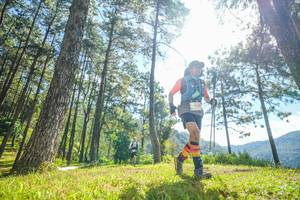 BIB: 
                            <button type="button" onclick="openModal(19284806)" class="btn btn-primary btn-sm float-right btn-popup" data-toggle="modal" data-target=".modal-high-quality">
                        <i class="fas fa-shopping-cart"></i> Add to Cart
                    </button>
                                            <button type="button" onclick="isThisMe(19284806, true)" class="btn btn-success btn-sm float-right btn-popup btn-isme hidden" data-toggle="tooltip" data-placement="bottom" title="นี่คือรูปของคุณใช่ไหม คลิกที่นี่เพื่อเอาเข้าอัลบั้ม">
                        <i class="fas fa-plus"></i> Add to album
                    </button>
                    <button type="button" onclick="isThisMe(19284806, false)" class="btn btn-warning btn-sm float-right btn-popup btn-isnotme hidden">
                        <i class="fas fa-ban"></i> Remove from album
                    </button>