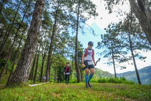 BIB: 
                            <button type="button" onclick="openModal(19291050)" class="btn btn-primary btn-sm float-right btn-popup" data-toggle="modal" data-target=".modal-high-quality">
                        <i class="fas fa-shopping-cart"></i> Add to Cart
                    </button>
                                            <button type="button" onclick="isThisMe(19291050, true)" class="btn btn-success btn-sm float-right btn-popup btn-isme hidden" data-toggle="tooltip" data-placement="bottom" title="นี่คือรูปของคุณใช่ไหม คลิกที่นี่เพื่อเอาเข้าอัลบั้ม">
                        <i class="fas fa-plus"></i> Add to album
                    </button>
                    <button type="button" onclick="isThisMe(19291050, false)" class="btn btn-warning btn-sm float-right btn-popup btn-isnotme hidden">
                        <i class="fas fa-ban"></i> Remove from album
                    </button>