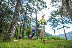 BIB: 
                            <button type="button" onclick="openModal(19288045)" class="btn btn-primary btn-sm float-right btn-popup" data-toggle="modal" data-target=".modal-high-quality">
                        <i class="fas fa-shopping-cart"></i> Add to Cart
                    </button>
                                            <button type="button" onclick="isThisMe(19288045, true)" class="btn btn-success btn-sm float-right btn-popup btn-isme hidden" data-toggle="tooltip" data-placement="bottom" title="นี่คือรูปของคุณใช่ไหม คลิกที่นี่เพื่อเอาเข้าอัลบั้ม">
                        <i class="fas fa-plus"></i> Add to album
                    </button>
                    <button type="button" onclick="isThisMe(19288045, false)" class="btn btn-warning btn-sm float-right btn-popup btn-isnotme hidden">
                        <i class="fas fa-ban"></i> Remove from album
                    </button>