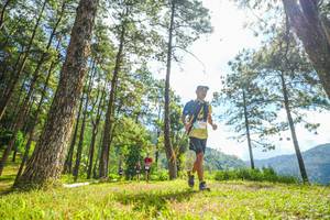 BIB: 
                            <button type="button" onclick="openModal(19287051)" class="btn btn-primary btn-sm float-right btn-popup" data-toggle="modal" data-target=".modal-high-quality">
                        <i class="fas fa-shopping-cart"></i> Add to Cart
                    </button>
                                            <button type="button" onclick="isThisMe(19287051, true)" class="btn btn-success btn-sm float-right btn-popup btn-isme hidden" data-toggle="tooltip" data-placement="bottom" title="นี่คือรูปของคุณใช่ไหม คลิกที่นี่เพื่อเอาเข้าอัลบั้ม">
                        <i class="fas fa-plus"></i> Add to album
                    </button>
                    <button type="button" onclick="isThisMe(19287051, false)" class="btn btn-warning btn-sm float-right btn-popup btn-isnotme hidden">
                        <i class="fas fa-ban"></i> Remove from album
                    </button>