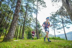 BIB: 
                            <button type="button" onclick="openModal(19288333)" class="btn btn-primary btn-sm float-right btn-popup" data-toggle="modal" data-target=".modal-high-quality">
                        <i class="fas fa-shopping-cart"></i> Add to Cart
                    </button>
                                            <button type="button" onclick="isThisMe(19288333, true)" class="btn btn-success btn-sm float-right btn-popup btn-isme hidden" data-toggle="tooltip" data-placement="bottom" title="นี่คือรูปของคุณใช่ไหม คลิกที่นี่เพื่อเอาเข้าอัลบั้ม">
                        <i class="fas fa-plus"></i> Add to album
                    </button>
                    <button type="button" onclick="isThisMe(19288333, false)" class="btn btn-warning btn-sm float-right btn-popup btn-isnotme hidden">
                        <i class="fas fa-ban"></i> Remove from album
                    </button>