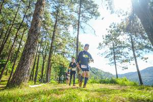 BIB: 
                            <button type="button" onclick="openModal(19290364)" class="btn btn-primary btn-sm float-right btn-popup" data-toggle="modal" data-target=".modal-high-quality">
                        <i class="fas fa-shopping-cart"></i> Add to Cart
                    </button>
                                            <button type="button" onclick="isThisMe(19290364, true)" class="btn btn-success btn-sm float-right btn-popup btn-isme hidden" data-toggle="tooltip" data-placement="bottom" title="นี่คือรูปของคุณใช่ไหม คลิกที่นี่เพื่อเอาเข้าอัลบั้ม">
                        <i class="fas fa-plus"></i> Add to album
                    </button>
                    <button type="button" onclick="isThisMe(19290364, false)" class="btn btn-warning btn-sm float-right btn-popup btn-isnotme hidden">
                        <i class="fas fa-ban"></i> Remove from album
                    </button>