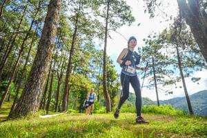 BIB: 
                            <button type="button" onclick="openModal(19291120)" class="btn btn-primary btn-sm float-right btn-popup" data-toggle="modal" data-target=".modal-high-quality">
                        <i class="fas fa-shopping-cart"></i> Add to Cart
                    </button>
                                            <button type="button" onclick="isThisMe(19291120, true)" class="btn btn-success btn-sm float-right btn-popup btn-isme hidden" data-toggle="tooltip" data-placement="bottom" title="นี่คือรูปของคุณใช่ไหม คลิกที่นี่เพื่อเอาเข้าอัลบั้ม">
                        <i class="fas fa-plus"></i> Add to album
                    </button>
                    <button type="button" onclick="isThisMe(19291120, false)" class="btn btn-warning btn-sm float-right btn-popup btn-isnotme hidden">
                        <i class="fas fa-ban"></i> Remove from album
                    </button>