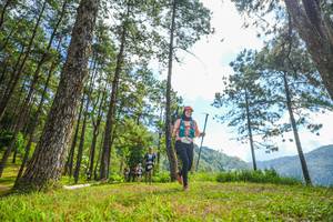 BIB: 
                            <button type="button" onclick="openModal(19287033)" class="btn btn-primary btn-sm float-right btn-popup" data-toggle="modal" data-target=".modal-high-quality">
                        <i class="fas fa-shopping-cart"></i> Add to Cart
                    </button>
                                            <button type="button" onclick="isThisMe(19287033, true)" class="btn btn-success btn-sm float-right btn-popup btn-isme hidden" data-toggle="tooltip" data-placement="bottom" title="นี่คือรูปของคุณใช่ไหม คลิกที่นี่เพื่อเอาเข้าอัลบั้ม">
                        <i class="fas fa-plus"></i> Add to album
                    </button>
                    <button type="button" onclick="isThisMe(19287033, false)" class="btn btn-warning btn-sm float-right btn-popup btn-isnotme hidden">
                        <i class="fas fa-ban"></i> Remove from album
                    </button>