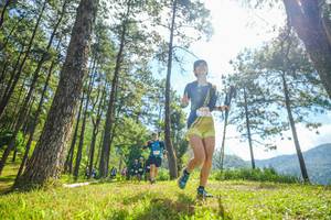 BIB: 
                            <button type="button" onclick="openModal(19286776)" class="btn btn-primary btn-sm float-right btn-popup" data-toggle="modal" data-target=".modal-high-quality">
                        <i class="fas fa-shopping-cart"></i> Add to Cart
                    </button>
                                            <button type="button" onclick="isThisMe(19286776, true)" class="btn btn-success btn-sm float-right btn-popup btn-isme hidden" data-toggle="tooltip" data-placement="bottom" title="นี่คือรูปของคุณใช่ไหม คลิกที่นี่เพื่อเอาเข้าอัลบั้ม">
                        <i class="fas fa-plus"></i> Add to album
                    </button>
                    <button type="button" onclick="isThisMe(19286776, false)" class="btn btn-warning btn-sm float-right btn-popup btn-isnotme hidden">
                        <i class="fas fa-ban"></i> Remove from album
                    </button>