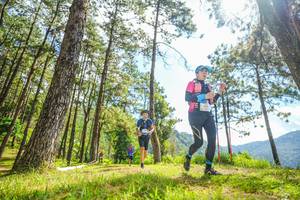 BIB: 
                            <button type="button" onclick="openModal(19289246)" class="btn btn-primary btn-sm float-right btn-popup" data-toggle="modal" data-target=".modal-high-quality">
                        <i class="fas fa-shopping-cart"></i> Add to Cart
                    </button>
                                            <button type="button" onclick="isThisMe(19289246, true)" class="btn btn-success btn-sm float-right btn-popup btn-isme hidden" data-toggle="tooltip" data-placement="bottom" title="นี่คือรูปของคุณใช่ไหม คลิกที่นี่เพื่อเอาเข้าอัลบั้ม">
                        <i class="fas fa-plus"></i> Add to album
                    </button>
                    <button type="button" onclick="isThisMe(19289246, false)" class="btn btn-warning btn-sm float-right btn-popup btn-isnotme hidden">
                        <i class="fas fa-ban"></i> Remove from album
                    </button>