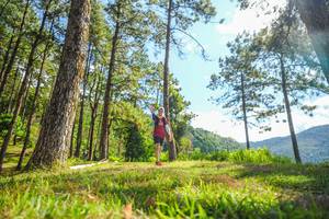 BIB: 
                            <button type="button" onclick="openModal(19291628)" class="btn btn-primary btn-sm float-right btn-popup" data-toggle="modal" data-target=".modal-high-quality">
                        <i class="fas fa-shopping-cart"></i> Add to Cart
                    </button>
                                            <button type="button" onclick="isThisMe(19291628, true)" class="btn btn-success btn-sm float-right btn-popup btn-isme hidden" data-toggle="tooltip" data-placement="bottom" title="นี่คือรูปของคุณใช่ไหม คลิกที่นี่เพื่อเอาเข้าอัลบั้ม">
                        <i class="fas fa-plus"></i> Add to album
                    </button>
                    <button type="button" onclick="isThisMe(19291628, false)" class="btn btn-warning btn-sm float-right btn-popup btn-isnotme hidden">
                        <i class="fas fa-ban"></i> Remove from album
                    </button>