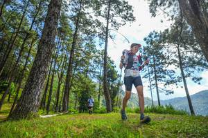 BIB: 
                            <button type="button" onclick="openModal(19287228)" class="btn btn-primary btn-sm float-right btn-popup" data-toggle="modal" data-target=".modal-high-quality">
                        <i class="fas fa-shopping-cart"></i> Add to Cart
                    </button>
                                            <button type="button" onclick="isThisMe(19287228, true)" class="btn btn-success btn-sm float-right btn-popup btn-isme hidden" data-toggle="tooltip" data-placement="bottom" title="นี่คือรูปของคุณใช่ไหม คลิกที่นี่เพื่อเอาเข้าอัลบั้ม">
                        <i class="fas fa-plus"></i> Add to album
                    </button>
                    <button type="button" onclick="isThisMe(19287228, false)" class="btn btn-warning btn-sm float-right btn-popup btn-isnotme hidden">
                        <i class="fas fa-ban"></i> Remove from album
                    </button>