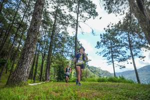 BIB: 
                            <button type="button" onclick="openModal(19286925)" class="btn btn-primary btn-sm float-right btn-popup" data-toggle="modal" data-target=".modal-high-quality">
                        <i class="fas fa-shopping-cart"></i> Add to Cart
                    </button>
                                            <button type="button" onclick="isThisMe(19286925, true)" class="btn btn-success btn-sm float-right btn-popup btn-isme hidden" data-toggle="tooltip" data-placement="bottom" title="นี่คือรูปของคุณใช่ไหม คลิกที่นี่เพื่อเอาเข้าอัลบั้ม">
                        <i class="fas fa-plus"></i> Add to album
                    </button>
                    <button type="button" onclick="isThisMe(19286925, false)" class="btn btn-warning btn-sm float-right btn-popup btn-isnotme hidden">
                        <i class="fas fa-ban"></i> Remove from album
                    </button>