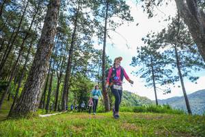 BIB: 
                            <button type="button" onclick="openModal(19290112)" class="btn btn-primary btn-sm float-right btn-popup" data-toggle="modal" data-target=".modal-high-quality">
                        <i class="fas fa-shopping-cart"></i> Add to Cart
                    </button>
                                            <button type="button" onclick="isThisMe(19290112, true)" class="btn btn-success btn-sm float-right btn-popup btn-isme hidden" data-toggle="tooltip" data-placement="bottom" title="นี่คือรูปของคุณใช่ไหม คลิกที่นี่เพื่อเอาเข้าอัลบั้ม">
                        <i class="fas fa-plus"></i> Add to album
                    </button>
                    <button type="button" onclick="isThisMe(19290112, false)" class="btn btn-warning btn-sm float-right btn-popup btn-isnotme hidden">
                        <i class="fas fa-ban"></i> Remove from album
                    </button>