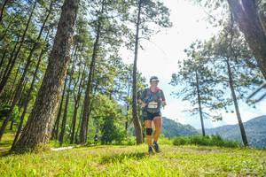 BIB: 
                            <button type="button" onclick="openModal(19287308)" class="btn btn-primary btn-sm float-right btn-popup" data-toggle="modal" data-target=".modal-high-quality">
                        <i class="fas fa-shopping-cart"></i> Add to Cart
                    </button>
                                            <button type="button" onclick="isThisMe(19287308, true)" class="btn btn-success btn-sm float-right btn-popup btn-isme hidden" data-toggle="tooltip" data-placement="bottom" title="นี่คือรูปของคุณใช่ไหม คลิกที่นี่เพื่อเอาเข้าอัลบั้ม">
                        <i class="fas fa-plus"></i> Add to album
                    </button>
                    <button type="button" onclick="isThisMe(19287308, false)" class="btn btn-warning btn-sm float-right btn-popup btn-isnotme hidden">
                        <i class="fas fa-ban"></i> Remove from album
                    </button>