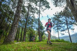 BIB: 
                            <button type="button" onclick="openModal(19286922)" class="btn btn-primary btn-sm float-right btn-popup" data-toggle="modal" data-target=".modal-high-quality">
                        <i class="fas fa-shopping-cart"></i> Add to Cart
                    </button>
                                            <button type="button" onclick="isThisMe(19286922, true)" class="btn btn-success btn-sm float-right btn-popup btn-isme hidden" data-toggle="tooltip" data-placement="bottom" title="นี่คือรูปของคุณใช่ไหม คลิกที่นี่เพื่อเอาเข้าอัลบั้ม">
                        <i class="fas fa-plus"></i> Add to album
                    </button>
                    <button type="button" onclick="isThisMe(19286922, false)" class="btn btn-warning btn-sm float-right btn-popup btn-isnotme hidden">
                        <i class="fas fa-ban"></i> Remove from album
                    </button>