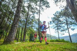 BIB: 
                            <button type="button" onclick="openModal(19285648)" class="btn btn-primary btn-sm float-right btn-popup" data-toggle="modal" data-target=".modal-high-quality">
                        <i class="fas fa-shopping-cart"></i> Add to Cart
                    </button>
                                            <button type="button" onclick="isThisMe(19285648, true)" class="btn btn-success btn-sm float-right btn-popup btn-isme hidden" data-toggle="tooltip" data-placement="bottom" title="นี่คือรูปของคุณใช่ไหม คลิกที่นี่เพื่อเอาเข้าอัลบั้ม">
                        <i class="fas fa-plus"></i> Add to album
                    </button>
                    <button type="button" onclick="isThisMe(19285648, false)" class="btn btn-warning btn-sm float-right btn-popup btn-isnotme hidden">
                        <i class="fas fa-ban"></i> Remove from album
                    </button>