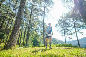 BIB: 
                            <button type="button" onclick="openModal(19285305)" class="btn btn-primary btn-sm float-right btn-popup" data-toggle="modal" data-target=".modal-high-quality">
                        <i class="fas fa-shopping-cart"></i> Add to Cart
                    </button>
                                            <button type="button" onclick="isThisMe(19285305, true)" class="btn btn-success btn-sm float-right btn-popup btn-isme hidden" data-toggle="tooltip" data-placement="bottom" title="นี่คือรูปของคุณใช่ไหม คลิกที่นี่เพื่อเอาเข้าอัลบั้ม">
                        <i class="fas fa-plus"></i> Add to album
                    </button>
                    <button type="button" onclick="isThisMe(19285305, false)" class="btn btn-warning btn-sm float-right btn-popup btn-isnotme hidden">
                        <i class="fas fa-ban"></i> Remove from album
                    </button>