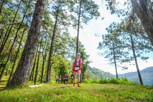 BIB: 
                            <button type="button" onclick="openModal(19289867)" class="btn btn-primary btn-sm float-right btn-popup" data-toggle="modal" data-target=".modal-high-quality">
                        <i class="fas fa-shopping-cart"></i> Add to Cart
                    </button>
                                            <button type="button" onclick="isThisMe(19289867, true)" class="btn btn-success btn-sm float-right btn-popup btn-isme hidden" data-toggle="tooltip" data-placement="bottom" title="นี่คือรูปของคุณใช่ไหม คลิกที่นี่เพื่อเอาเข้าอัลบั้ม">
                        <i class="fas fa-plus"></i> Add to album
                    </button>
                    <button type="button" onclick="isThisMe(19289867, false)" class="btn btn-warning btn-sm float-right btn-popup btn-isnotme hidden">
                        <i class="fas fa-ban"></i> Remove from album
                    </button>