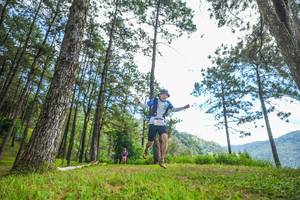 BIB: 
                            <button type="button" onclick="openModal(19287705)" class="btn btn-primary btn-sm float-right btn-popup" data-toggle="modal" data-target=".modal-high-quality">
                        <i class="fas fa-shopping-cart"></i> Add to Cart
                    </button>
                                            <button type="button" onclick="isThisMe(19287705, true)" class="btn btn-success btn-sm float-right btn-popup btn-isme hidden" data-toggle="tooltip" data-placement="bottom" title="นี่คือรูปของคุณใช่ไหม คลิกที่นี่เพื่อเอาเข้าอัลบั้ม">
                        <i class="fas fa-plus"></i> Add to album
                    </button>
                    <button type="button" onclick="isThisMe(19287705, false)" class="btn btn-warning btn-sm float-right btn-popup btn-isnotme hidden">
                        <i class="fas fa-ban"></i> Remove from album
                    </button>