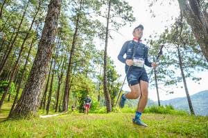 BIB: 
                            <button type="button" onclick="openModal(19288459)" class="btn btn-primary btn-sm float-right btn-popup" data-toggle="modal" data-target=".modal-high-quality">
                        <i class="fas fa-shopping-cart"></i> Add to Cart
                    </button>
                                            <button type="button" onclick="isThisMe(19288459, true)" class="btn btn-success btn-sm float-right btn-popup btn-isme hidden" data-toggle="tooltip" data-placement="bottom" title="นี่คือรูปของคุณใช่ไหม คลิกที่นี่เพื่อเอาเข้าอัลบั้ม">
                        <i class="fas fa-plus"></i> Add to album
                    </button>
                    <button type="button" onclick="isThisMe(19288459, false)" class="btn btn-warning btn-sm float-right btn-popup btn-isnotme hidden">
                        <i class="fas fa-ban"></i> Remove from album
                    </button>