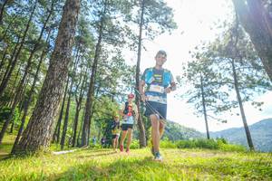 BIB: 
                            <button type="button" onclick="openModal(19288722)" class="btn btn-primary btn-sm float-right btn-popup" data-toggle="modal" data-target=".modal-high-quality">
                        <i class="fas fa-shopping-cart"></i> Add to Cart
                    </button>
                                            <button type="button" onclick="isThisMe(19288722, true)" class="btn btn-success btn-sm float-right btn-popup btn-isme hidden" data-toggle="tooltip" data-placement="bottom" title="นี่คือรูปของคุณใช่ไหม คลิกที่นี่เพื่อเอาเข้าอัลบั้ม">
                        <i class="fas fa-plus"></i> Add to album
                    </button>
                    <button type="button" onclick="isThisMe(19288722, false)" class="btn btn-warning btn-sm float-right btn-popup btn-isnotme hidden">
                        <i class="fas fa-ban"></i> Remove from album
                    </button>