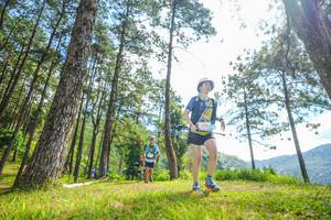 BIB: 
                            <button type="button" onclick="openModal(19288716)" class="btn btn-primary btn-sm float-right btn-popup" data-toggle="modal" data-target=".modal-high-quality">
                        <i class="fas fa-shopping-cart"></i> Add to Cart
                    </button>
                                            <button type="button" onclick="isThisMe(19288716, true)" class="btn btn-success btn-sm float-right btn-popup btn-isme hidden" data-toggle="tooltip" data-placement="bottom" title="นี่คือรูปของคุณใช่ไหม คลิกที่นี่เพื่อเอาเข้าอัลบั้ม">
                        <i class="fas fa-plus"></i> Add to album
                    </button>
                    <button type="button" onclick="isThisMe(19288716, false)" class="btn btn-warning btn-sm float-right btn-popup btn-isnotme hidden">
                        <i class="fas fa-ban"></i> Remove from album
                    </button>