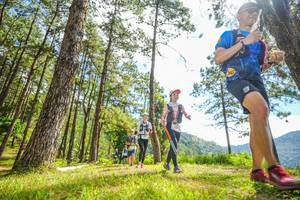 BIB: 
                            <button type="button" onclick="openModal(19289752)" class="btn btn-primary btn-sm float-right btn-popup" data-toggle="modal" data-target=".modal-high-quality">
                        <i class="fas fa-shopping-cart"></i> Add to Cart
                    </button>
                                            <button type="button" onclick="isThisMe(19289752, true)" class="btn btn-success btn-sm float-right btn-popup btn-isme hidden" data-toggle="tooltip" data-placement="bottom" title="นี่คือรูปของคุณใช่ไหม คลิกที่นี่เพื่อเอาเข้าอัลบั้ม">
                        <i class="fas fa-plus"></i> Add to album
                    </button>
                    <button type="button" onclick="isThisMe(19289752, false)" class="btn btn-warning btn-sm float-right btn-popup btn-isnotme hidden">
                        <i class="fas fa-ban"></i> Remove from album
                    </button>