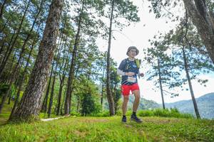 BIB: 1968
                            <button type="button" onclick="openModal(19287520)" class="btn btn-primary btn-sm float-right btn-popup" data-toggle="modal" data-target=".modal-high-quality">
                        <i class="fas fa-shopping-cart"></i> Add to Cart
                    </button>
                                            <button type="button" onclick="isThisMe(19287520, true)" class="btn btn-success btn-sm float-right btn-popup btn-isme hidden" data-toggle="tooltip" data-placement="bottom" title="นี่คือรูปของคุณใช่ไหม คลิกที่นี่เพื่อเอาเข้าอัลบั้ม">
                        <i class="fas fa-plus"></i> Add to album
                    </button>
                    <button type="button" onclick="isThisMe(19287520, false)" class="btn btn-warning btn-sm float-right btn-popup btn-isnotme hidden">
                        <i class="fas fa-ban"></i> Remove from album
                    </button>