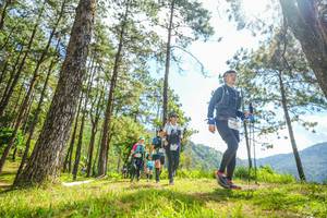 BIB: 
                            <button type="button" onclick="openModal(19289219)" class="btn btn-primary btn-sm float-right btn-popup" data-toggle="modal" data-target=".modal-high-quality">
                        <i class="fas fa-shopping-cart"></i> Add to Cart
                    </button>
                                            <button type="button" onclick="isThisMe(19289219, true)" class="btn btn-success btn-sm float-right btn-popup btn-isme hidden" data-toggle="tooltip" data-placement="bottom" title="นี่คือรูปของคุณใช่ไหม คลิกที่นี่เพื่อเอาเข้าอัลบั้ม">
                        <i class="fas fa-plus"></i> Add to album
                    </button>
                    <button type="button" onclick="isThisMe(19289219, false)" class="btn btn-warning btn-sm float-right btn-popup btn-isnotme hidden">
                        <i class="fas fa-ban"></i> Remove from album
                    </button>