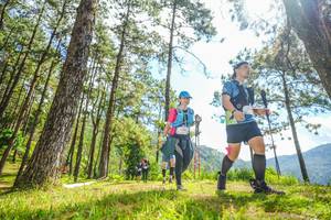 BIB: 
                            <button type="button" onclick="openModal(19289225)" class="btn btn-primary btn-sm float-right btn-popup" data-toggle="modal" data-target=".modal-high-quality">
                        <i class="fas fa-shopping-cart"></i> Add to Cart
                    </button>
                                            <button type="button" onclick="isThisMe(19289225, true)" class="btn btn-success btn-sm float-right btn-popup btn-isme hidden" data-toggle="tooltip" data-placement="bottom" title="นี่คือรูปของคุณใช่ไหม คลิกที่นี่เพื่อเอาเข้าอัลบั้ม">
                        <i class="fas fa-plus"></i> Add to album
                    </button>
                    <button type="button" onclick="isThisMe(19289225, false)" class="btn btn-warning btn-sm float-right btn-popup btn-isnotme hidden">
                        <i class="fas fa-ban"></i> Remove from album
                    </button>