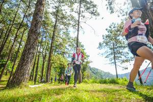 BIB: 
                            <button type="button" onclick="openModal(19289715)" class="btn btn-primary btn-sm float-right btn-popup" data-toggle="modal" data-target=".modal-high-quality">
                        <i class="fas fa-shopping-cart"></i> Add to Cart
                    </button>
                                            <button type="button" onclick="isThisMe(19289715, true)" class="btn btn-success btn-sm float-right btn-popup btn-isme hidden" data-toggle="tooltip" data-placement="bottom" title="นี่คือรูปของคุณใช่ไหม คลิกที่นี่เพื่อเอาเข้าอัลบั้ม">
                        <i class="fas fa-plus"></i> Add to album
                    </button>
                    <button type="button" onclick="isThisMe(19289715, false)" class="btn btn-warning btn-sm float-right btn-popup btn-isnotme hidden">
                        <i class="fas fa-ban"></i> Remove from album
                    </button>