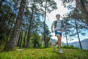 BIB: 5242
                            <button type="button" onclick="openModal(19283072)" class="btn btn-primary btn-sm float-right btn-popup" data-toggle="modal" data-target=".modal-high-quality">
                        <i class="fas fa-shopping-cart"></i> Add to Cart
                    </button>
                                            <button type="button" onclick="isThisMe(19283072, true)" class="btn btn-success btn-sm float-right btn-popup btn-isme hidden" data-toggle="tooltip" data-placement="bottom" title="นี่คือรูปของคุณใช่ไหม คลิกที่นี่เพื่อเอาเข้าอัลบั้ม">
                        <i class="fas fa-plus"></i> Add to album
                    </button>
                    <button type="button" onclick="isThisMe(19283072, false)" class="btn btn-warning btn-sm float-right btn-popup btn-isnotme hidden">
                        <i class="fas fa-ban"></i> Remove from album
                    </button>